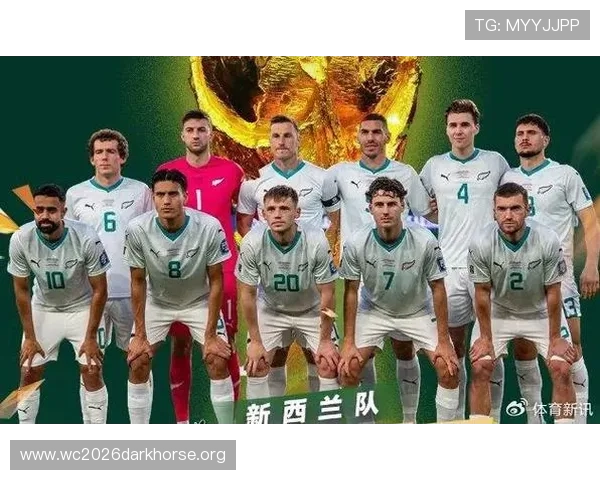 2026年世界杯新西兰比利时比赛阵容全名单及主力球员表现预测分析